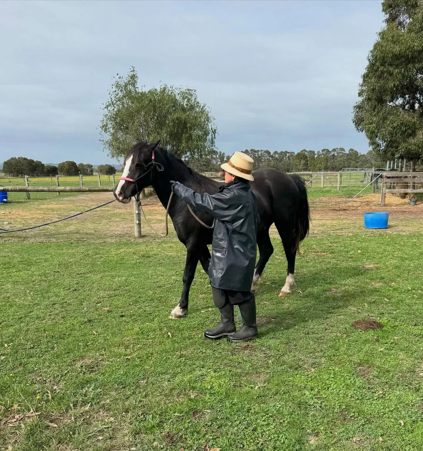 When you&rsquo;re leading and walking with your horse, does it sometimes feel like you&rsquo;re being walked all over? 🫠

Is your horse trying to climb into your lap, or just steamrolling over the top of you?

We&rsquo;ve all tried pushing them off,