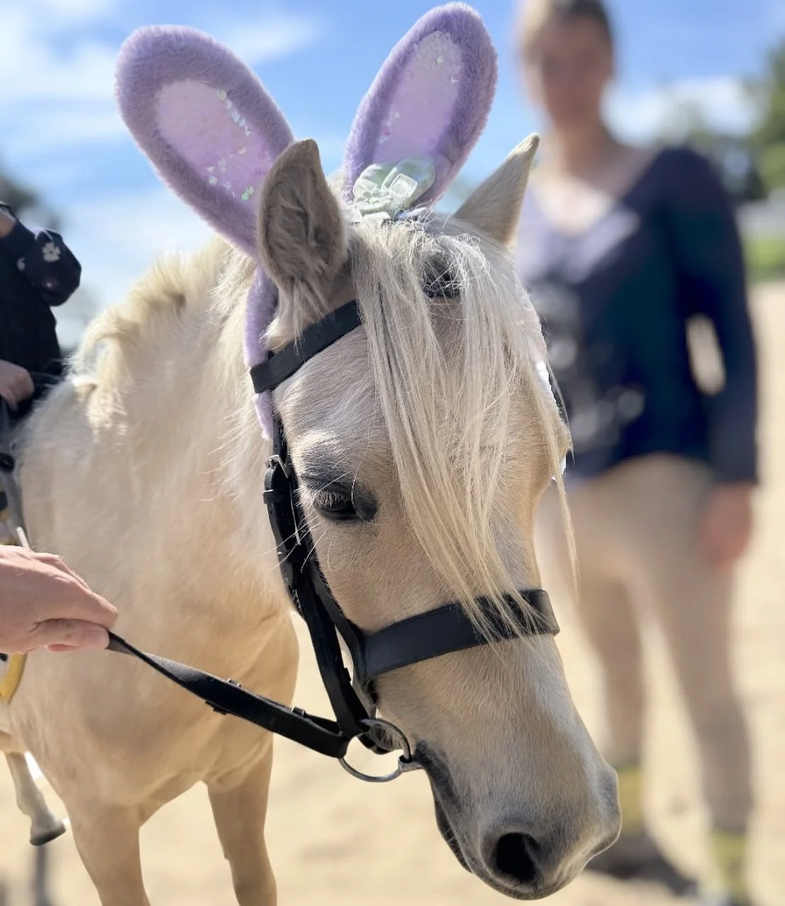 Happy Easter everyone! 

I hope your day was filled with as many hot cross buns and Easter eggs as your heart desired.

I spent the morning teaching the littlies at @pakenhamponyclub and we had a blast. The kids in my group range from 3 to 7 years ol