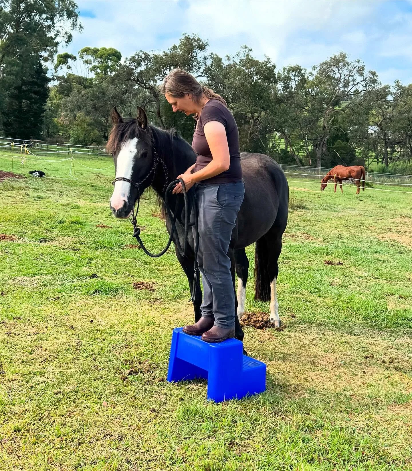 How was Rome built?

Brick by brick. When showing your horse something new it&rsquo;s important to break the process down into smaller, easier to follow steps. Children learn the alphabet before they learn to read, and then they learn the sound the l