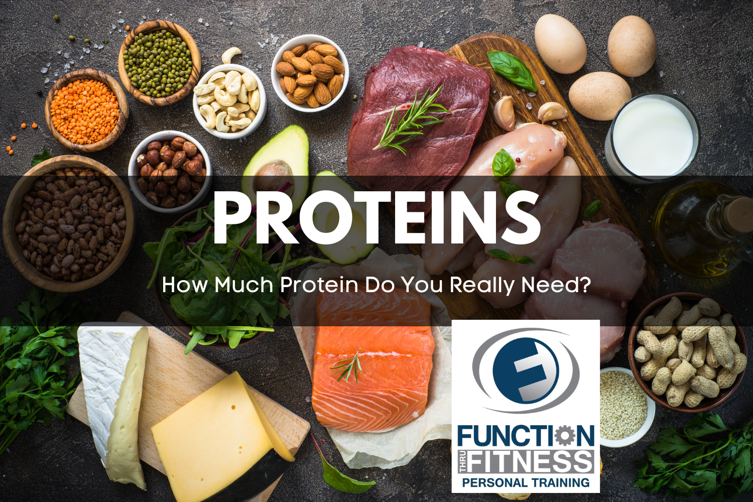 Nutrition coaching protein intake guide at Function Thru Fitness Green Bay WI