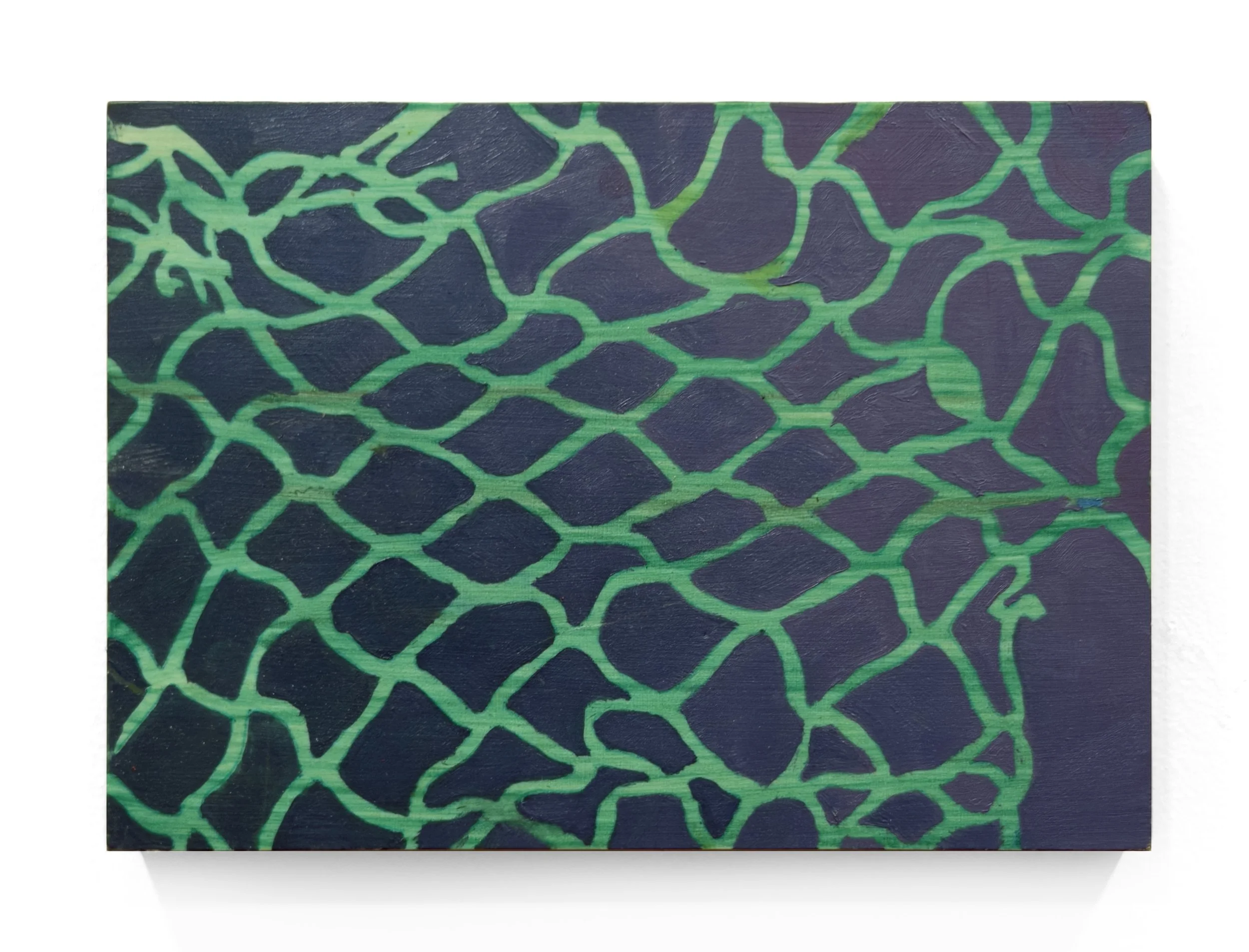 Green Net.jpg