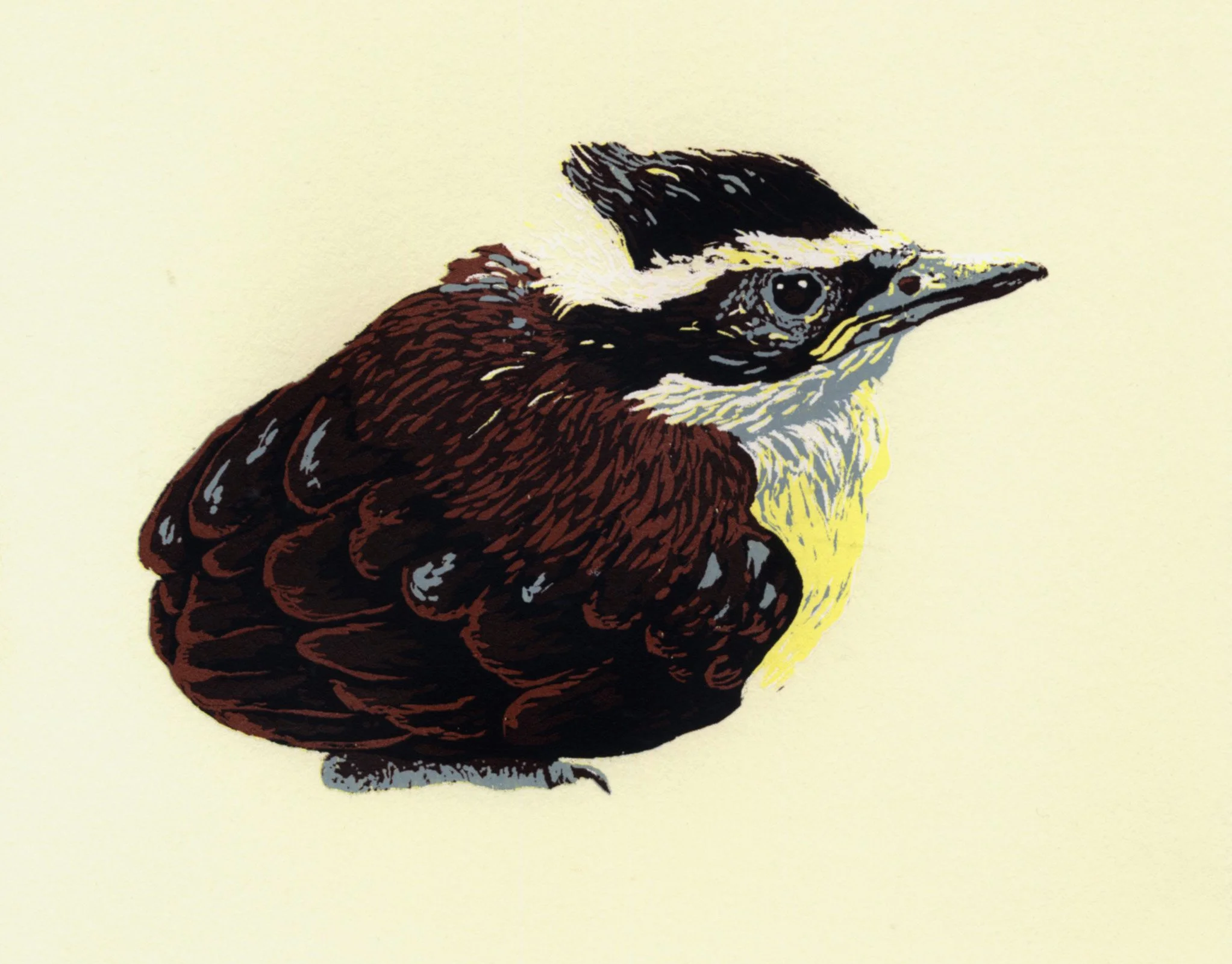 Reduction Bird Color 6.jpg