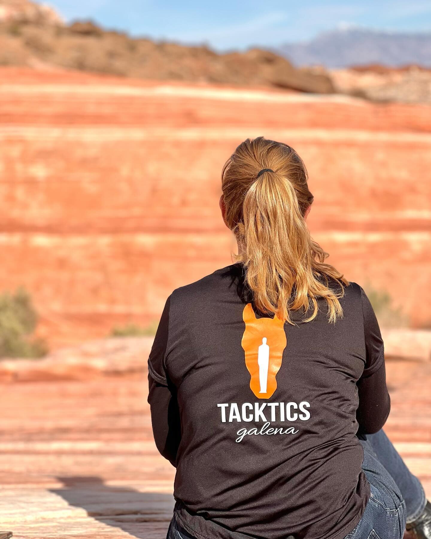 We&rsquo;ve been a little quiet lately as we&rsquo;ve been enjoying a family trip to Nevada! 🌵🏜️🐴 Of course, we met some new four-legged friends while out there. 🧡 #tackticsgalena 

www.tacktics-galena.com

#Leadership #teambuilding #skillstraini