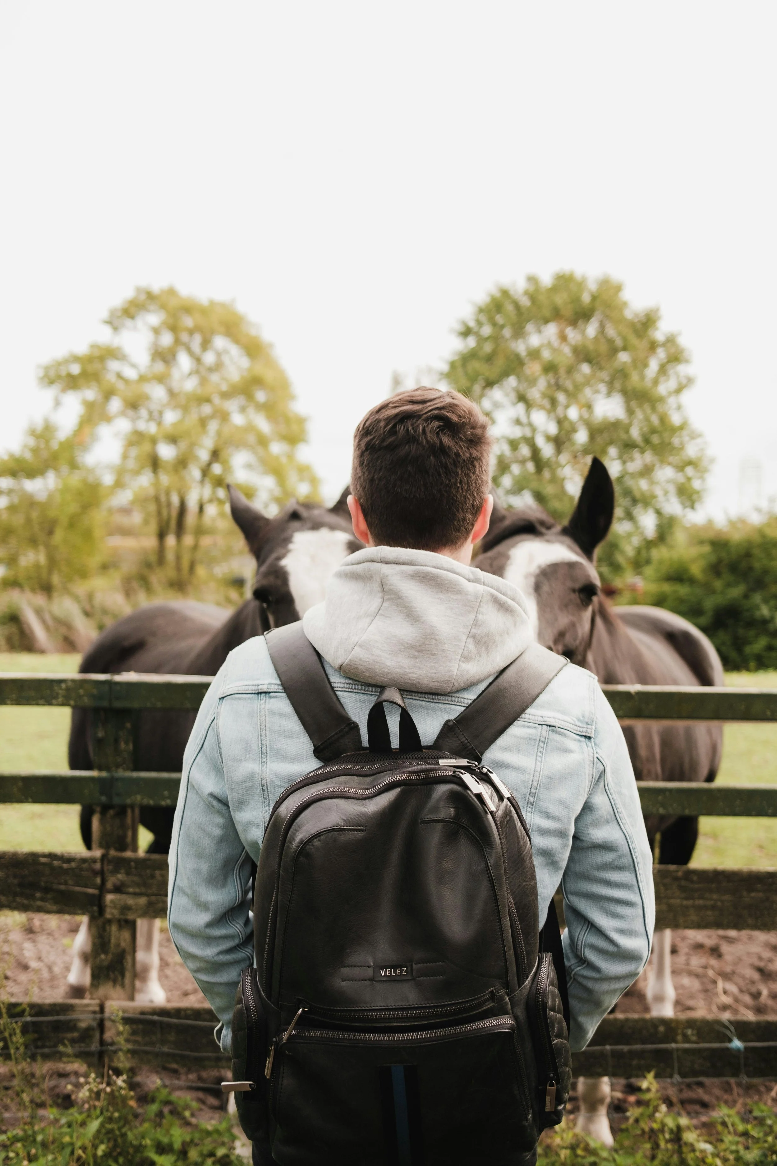 5 Reasons why 2026 is the year for nature-based, unplugged team offsites