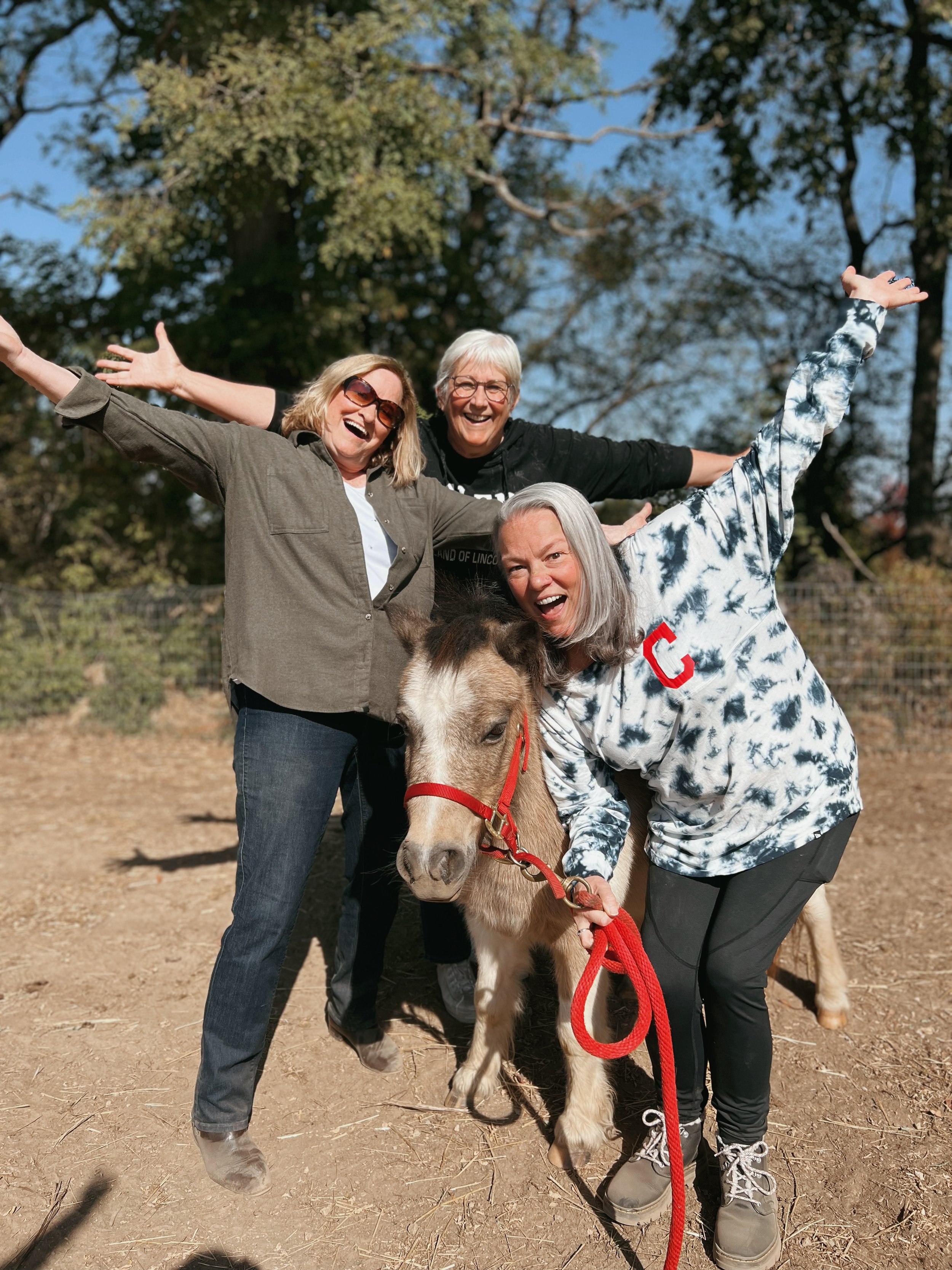 The Golden Hooves: 3 week series for age 55+