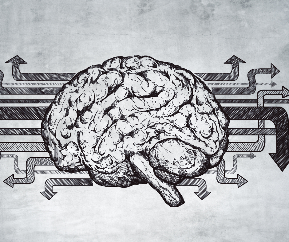 Applied E.I. Part 1: Intrapersonal Intelligence
