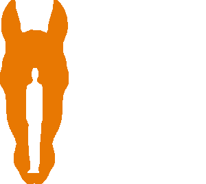 TACKTICS GALENA