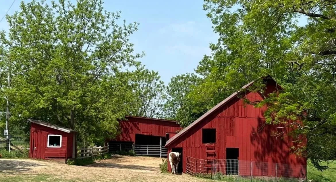 Outdoor Paint + Sip Red Barns — TACKTICS GALENA