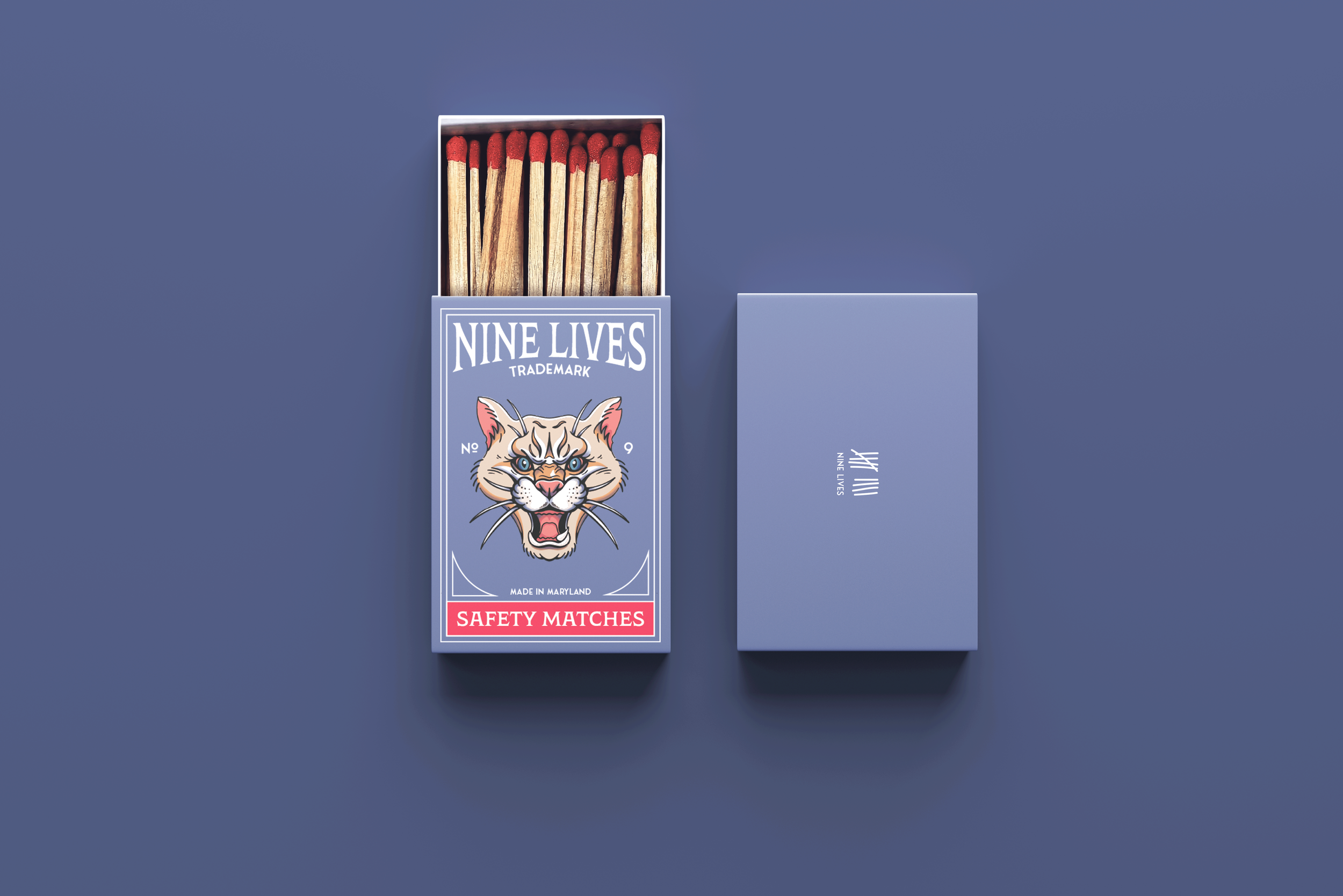 ILLUSTRATION WORK