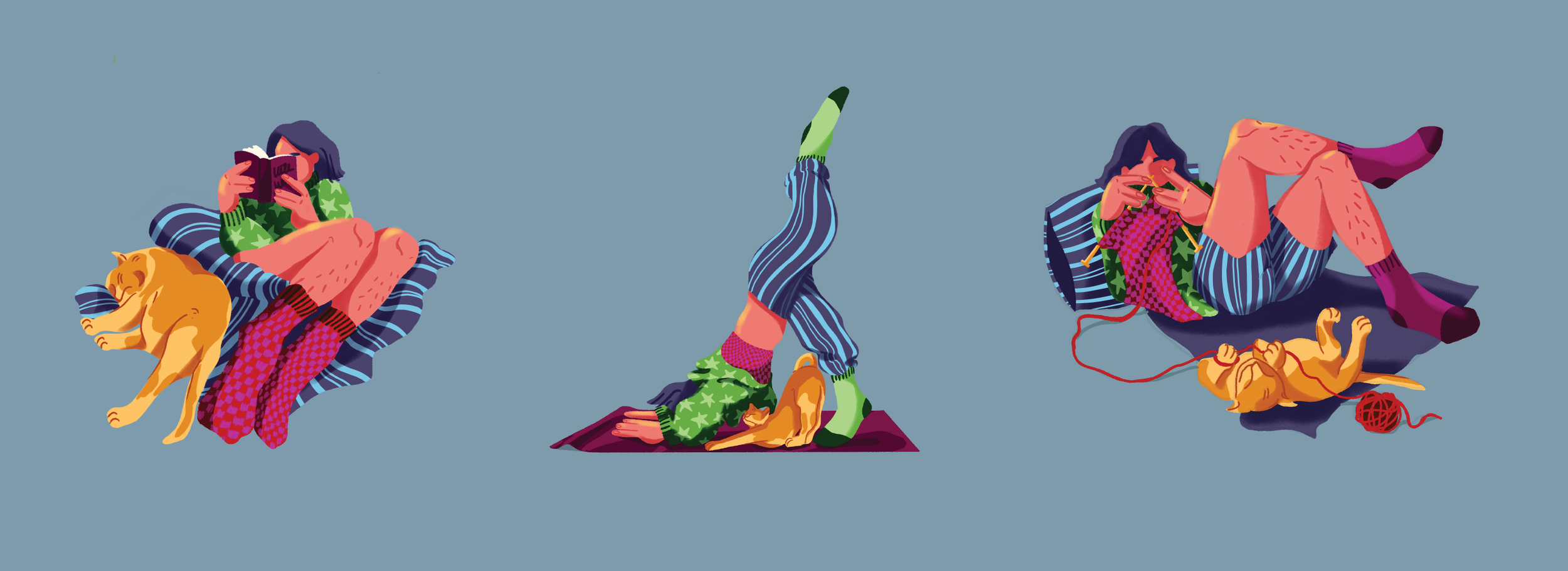 long cozy home.png