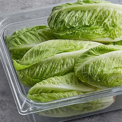 romaine-lettuce.jpg