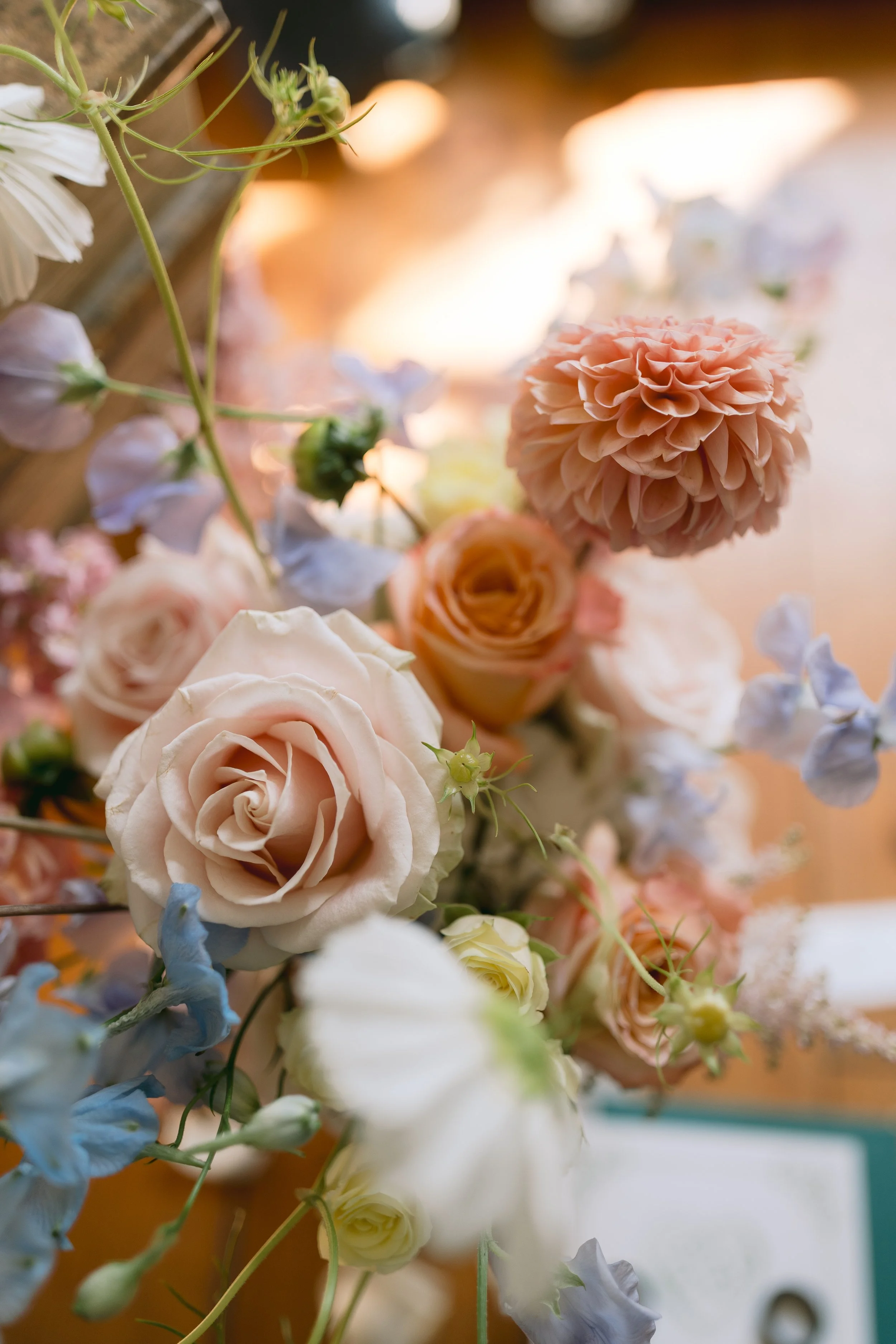 Photography by Ciara Castle leslie J_26M-22.jpg