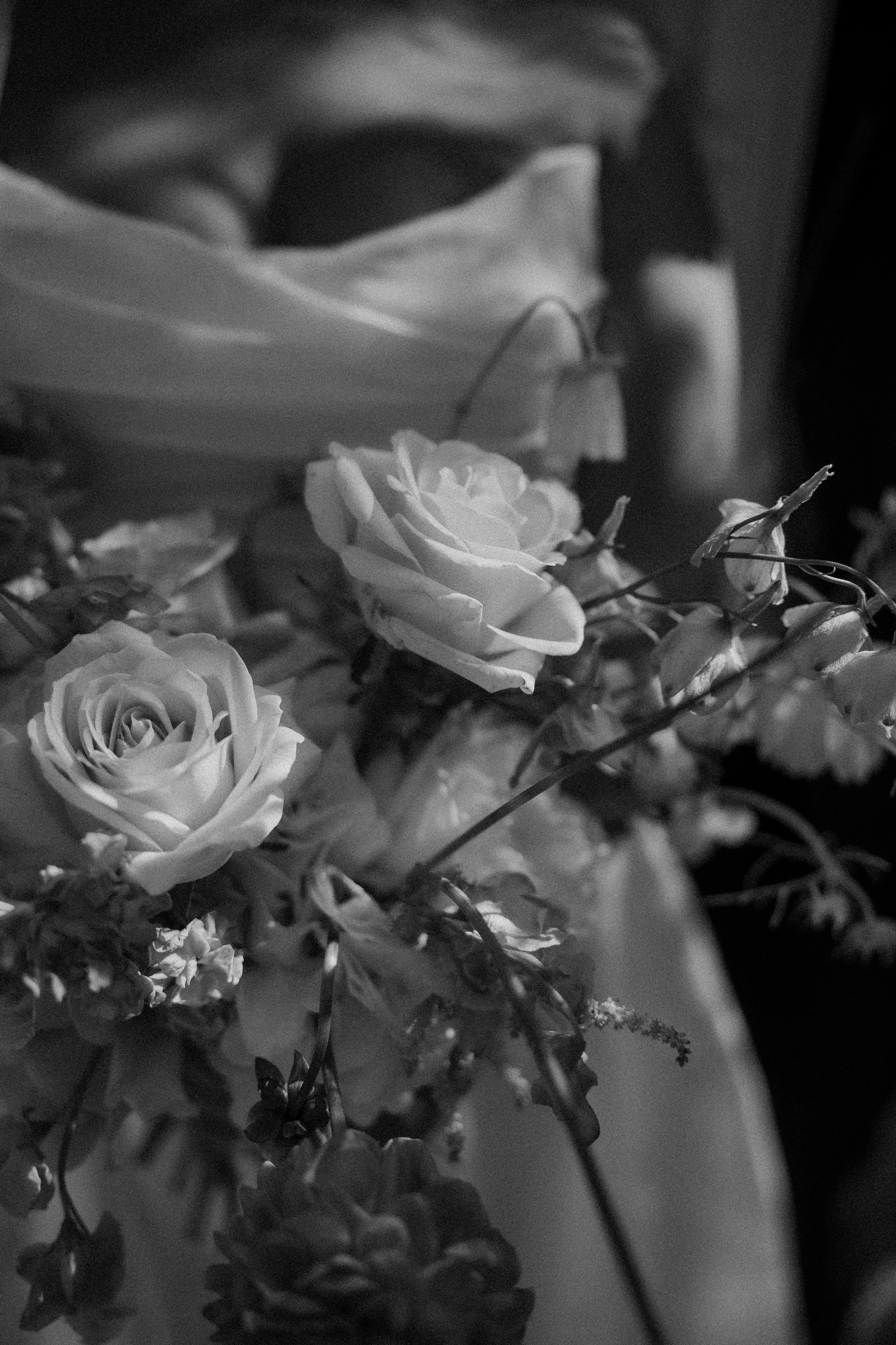 Photography by Ciara Castle leslie J_26M-456.jpg