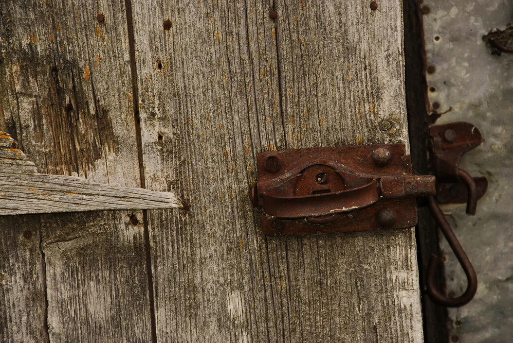 Prairie Focus: Summer 2014