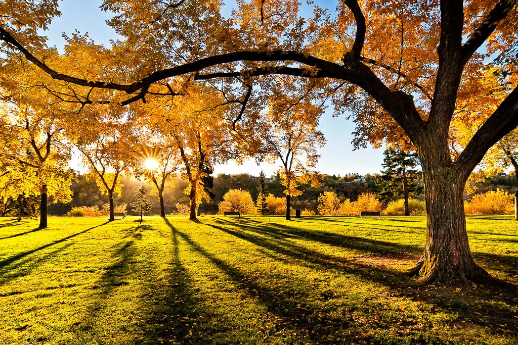 Fall Competitions Due Nov. 1st