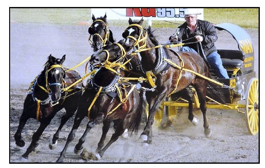 Prairie Focus: Spring 2016