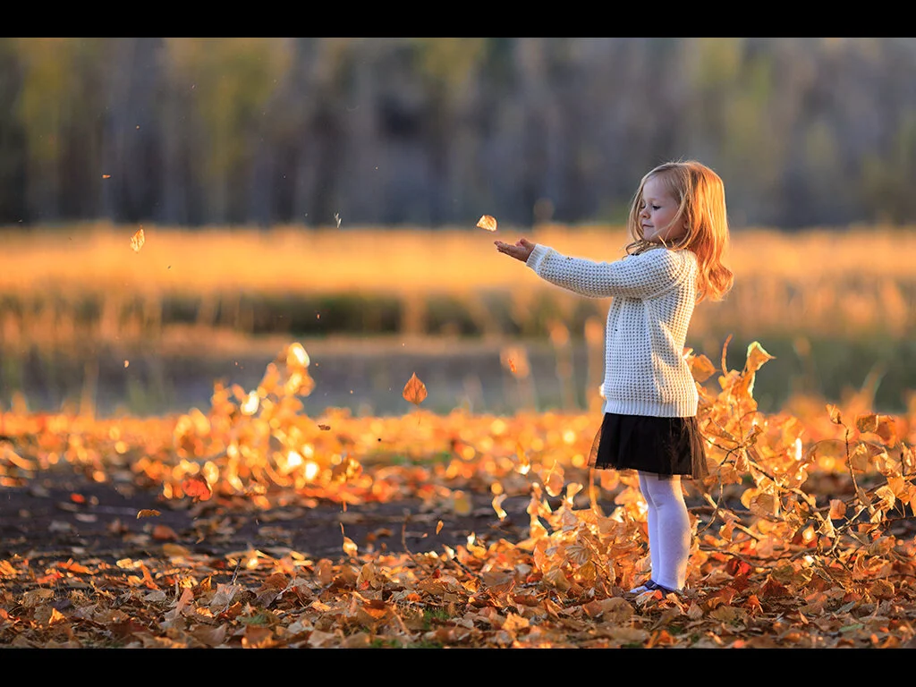 2015-16 Galleries Now Online