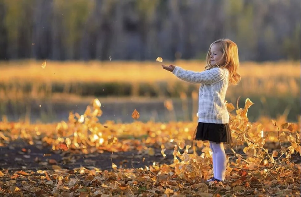 Prairie Focus: Fall 2016