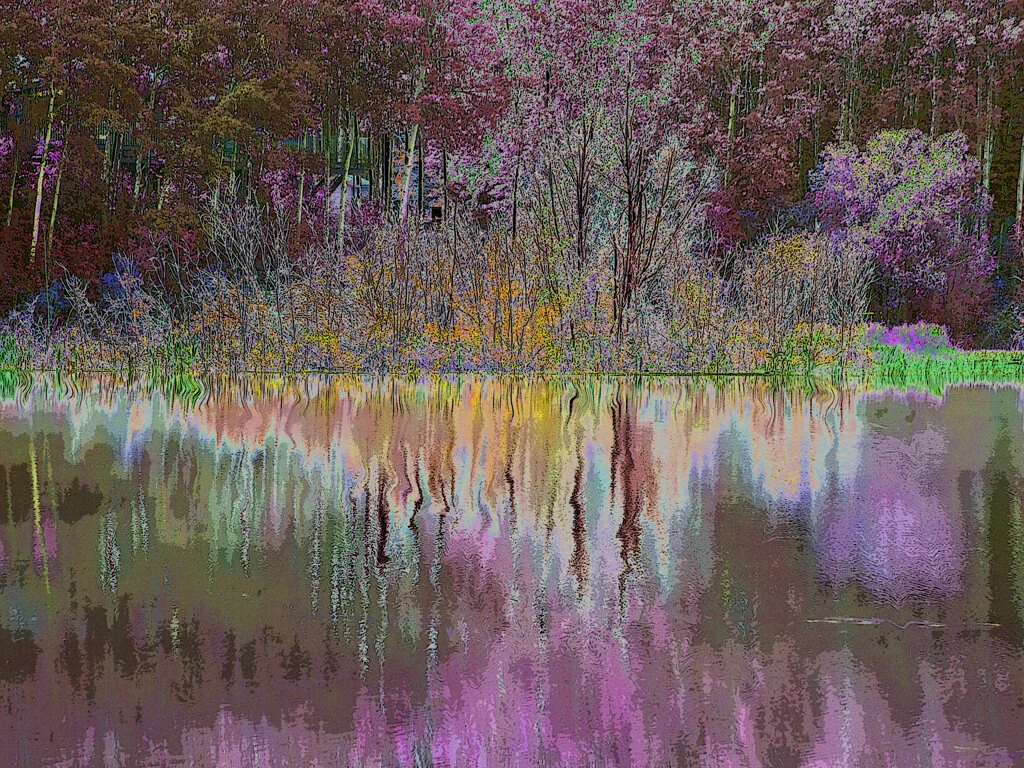 Prairie Focus: Spring 2017