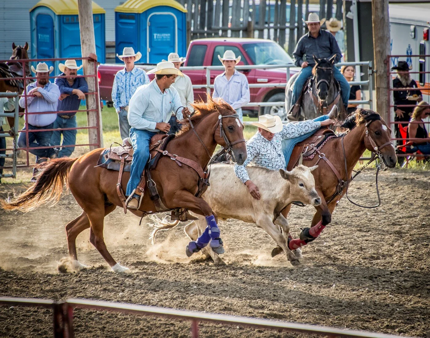 Prairie Focus: Spring 2018