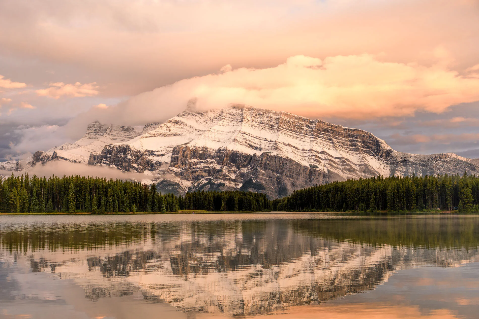 Prairie Focus: Summer 2019