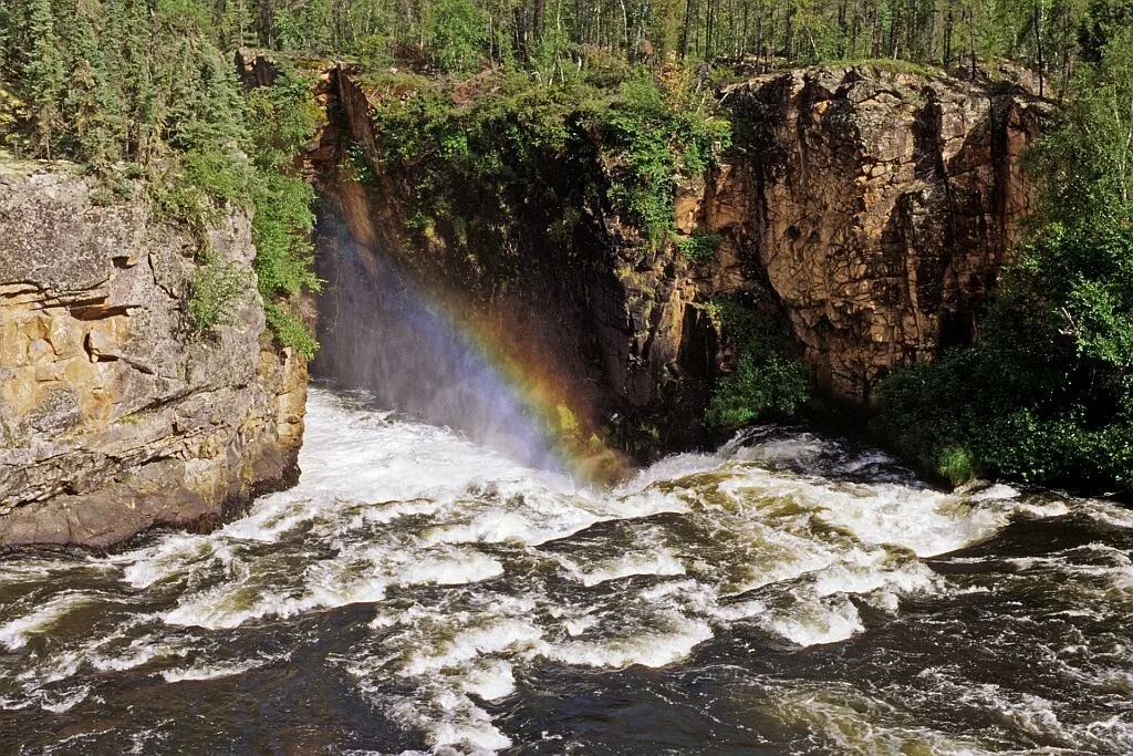 Prairie Focus: Winter 2020