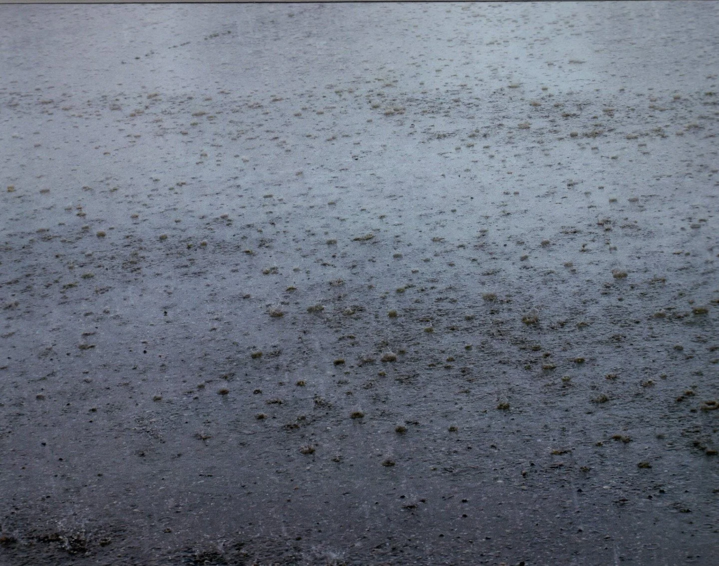 Rain Drops - Shirley Gerlock - IND / Outing - Prints 2024 Competition - 1st Place. A textured image of a wet road surface with raindrops creating splashes and ripples in a gray, subdued tone. #prpacanada #photography #prpa #rain