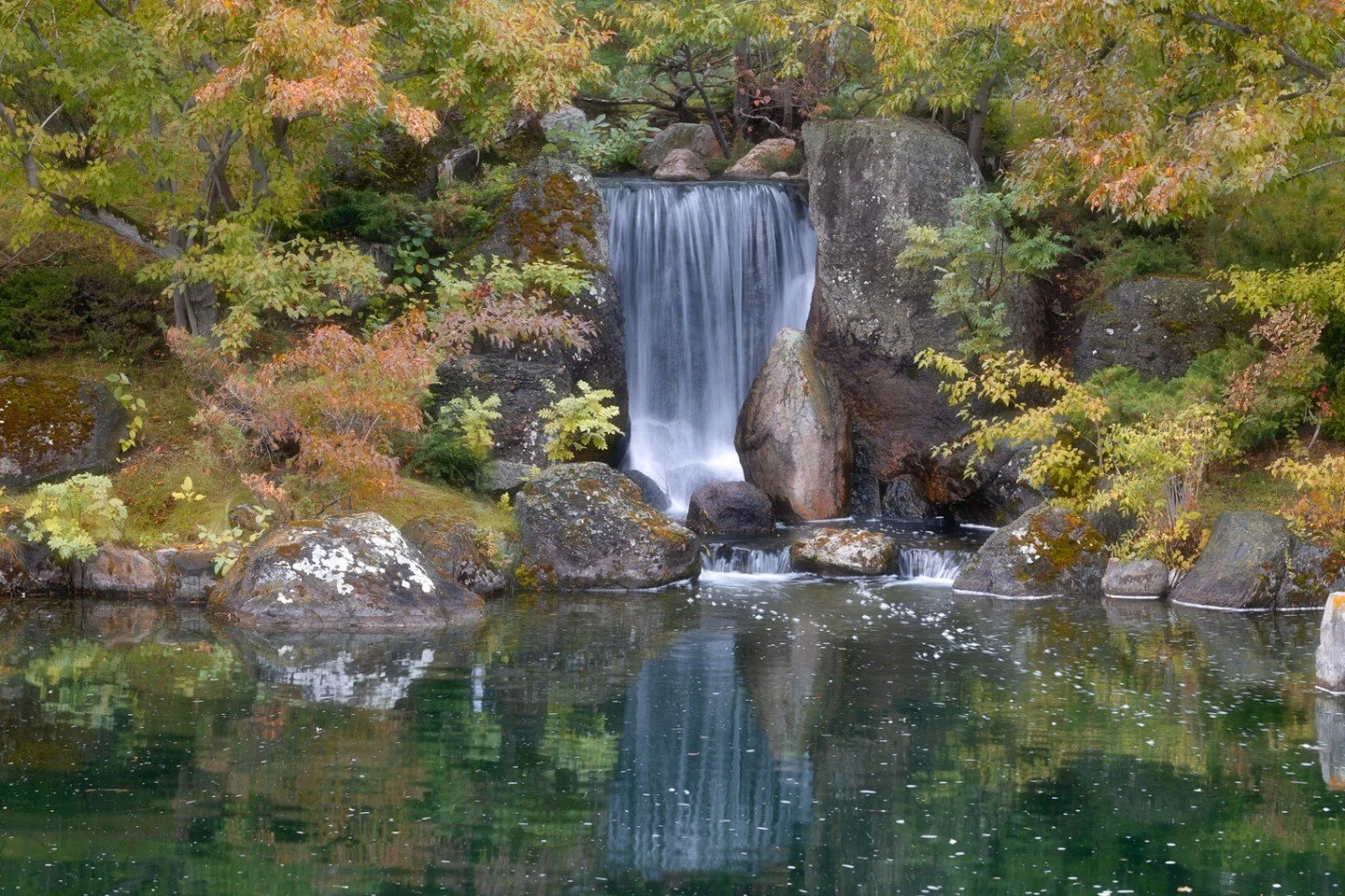 Tranquil - Diane McKinnon - IWPA / Fall Digital 2023 Competition - 3rd Place.

A long-exposure shot of a waterfall cascading into a pond, creating a soft, silky water effect surrounded by autumn foliage.

#prpa #prpacanada #naturephotography #longexp