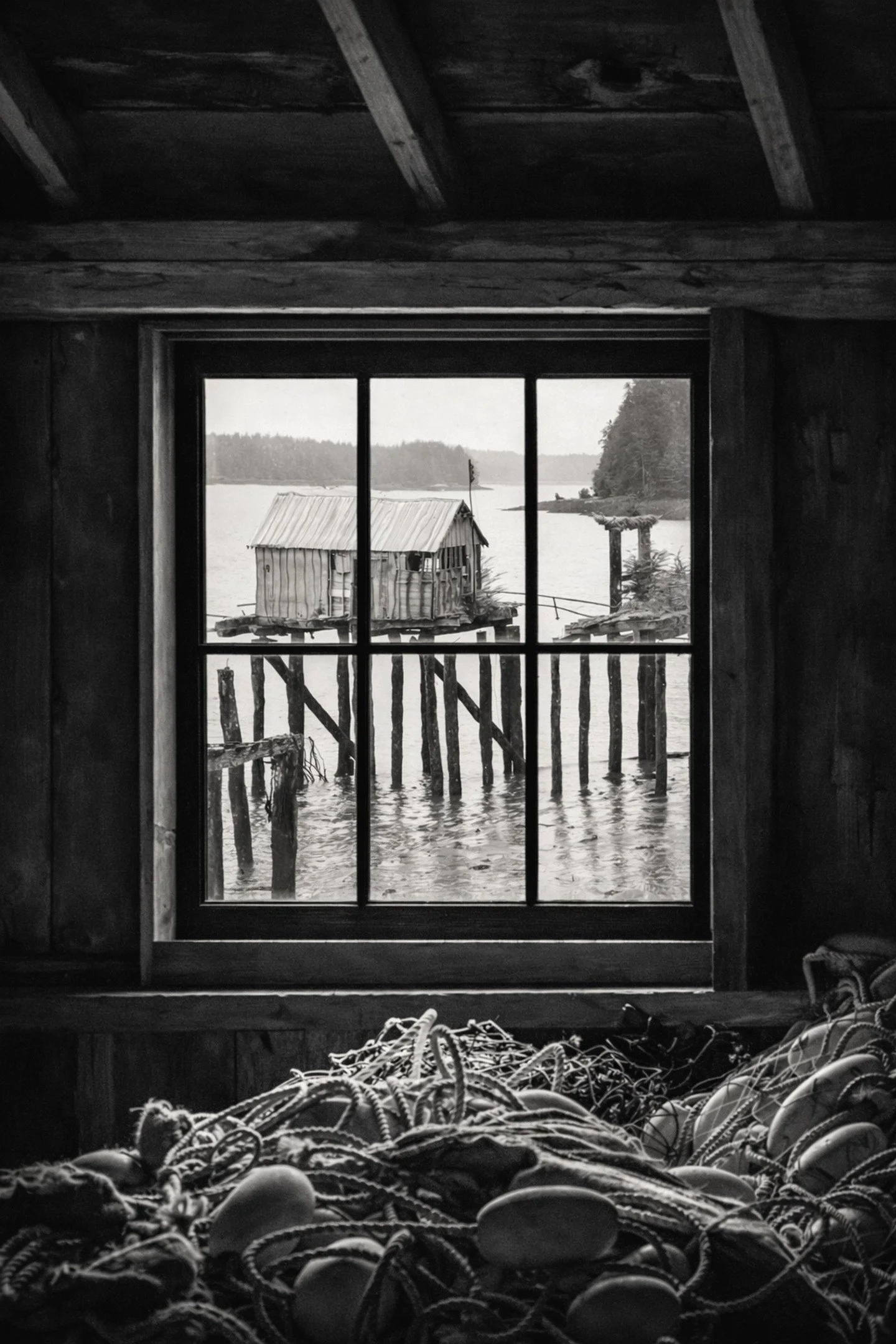 Obsolete Salmon Cannery - Diane McKinnon - IWPA - (Spring Digital 2024 Competition) - Honorable Mention

A nostalgic black-and-white view through a weathered window, preserving the quiet structure and history of a shack on stilts.

#prpa #prpacanada 