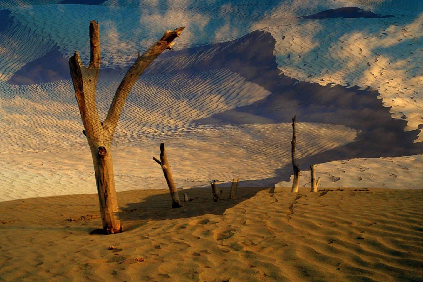 Scheduled: 8:00 AM

Sanddunes On The Move - Larry Easton-IND - (Curtiss Lund Altered Reality 2024 Competition) - 3rd Place.

Dramatic dune contours and stark deadwood forms present a shifting landscape study, emphasizing motion, contrast, and scale w