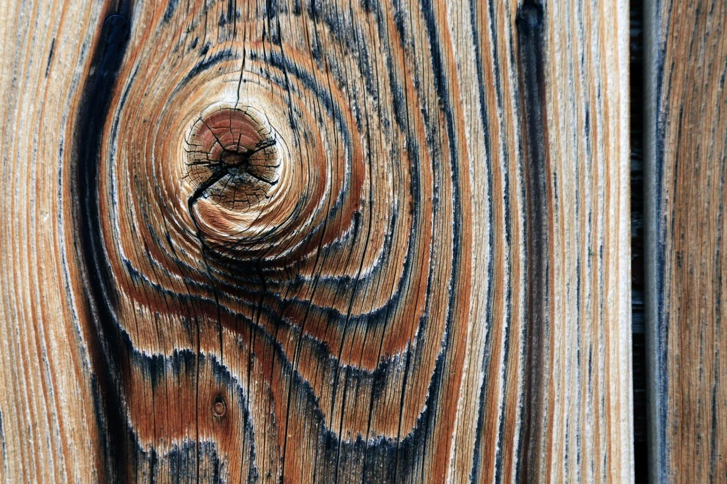Weathered - Larry Easton - RePC / Outing - Digital Image 2024 Competition - 1st Place

A detailed study of wood grain and textures on a weathered plank.

#prpacanada #prpa #photography #woodgrain