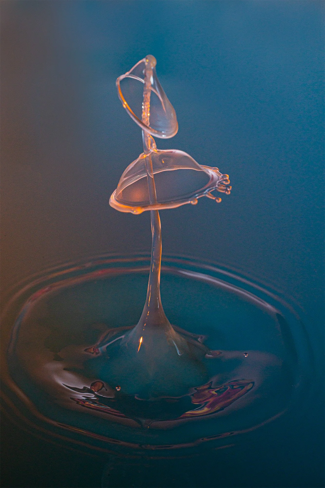 Double Domed - Rusty Morris - Artistic Expressions 2025 Competition - 2nd Place.

#prpacanada #prpa #highspeedphotography #waterdrop
