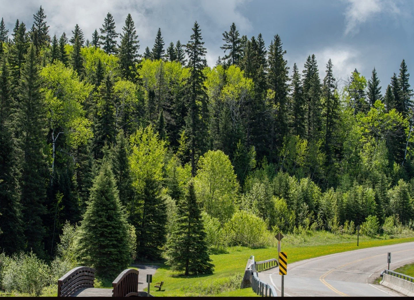 Green Is The Colour - Emily Schindel - Outing Colour Digital Image 2025 Competition - Honorable Mention.

#prpacanada #prpa #photography #competition