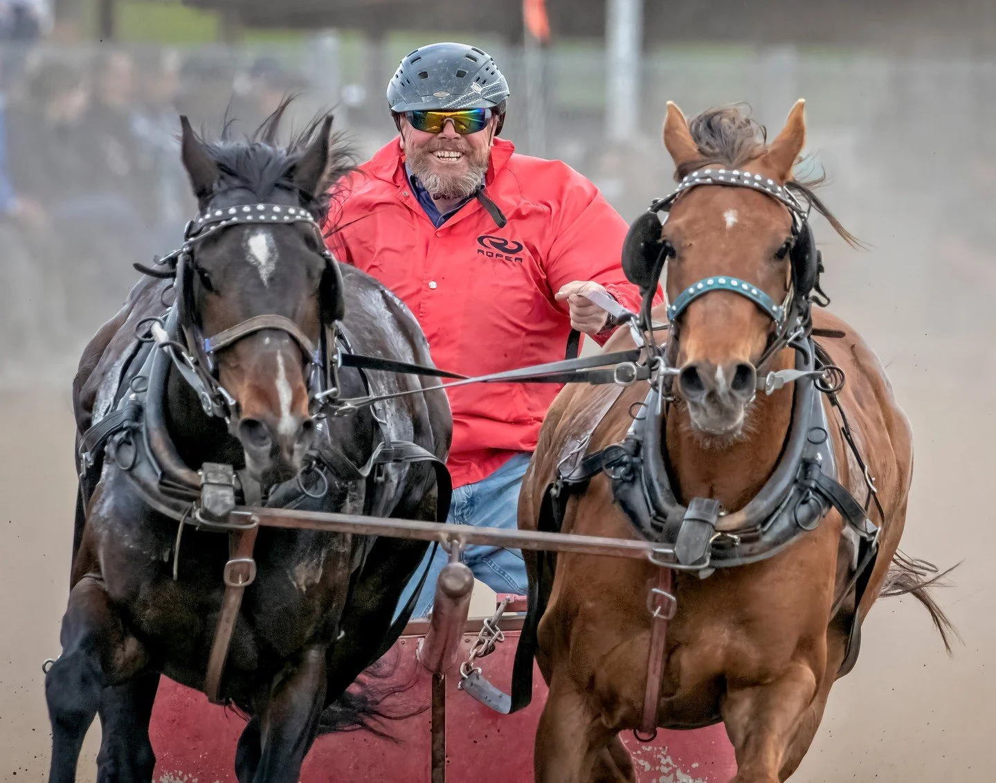 Let's Win This Race - Jane Hiebert - SCC / Sports in Action 2024 - 1st Place

#prpacanada #sports #action #horseracing