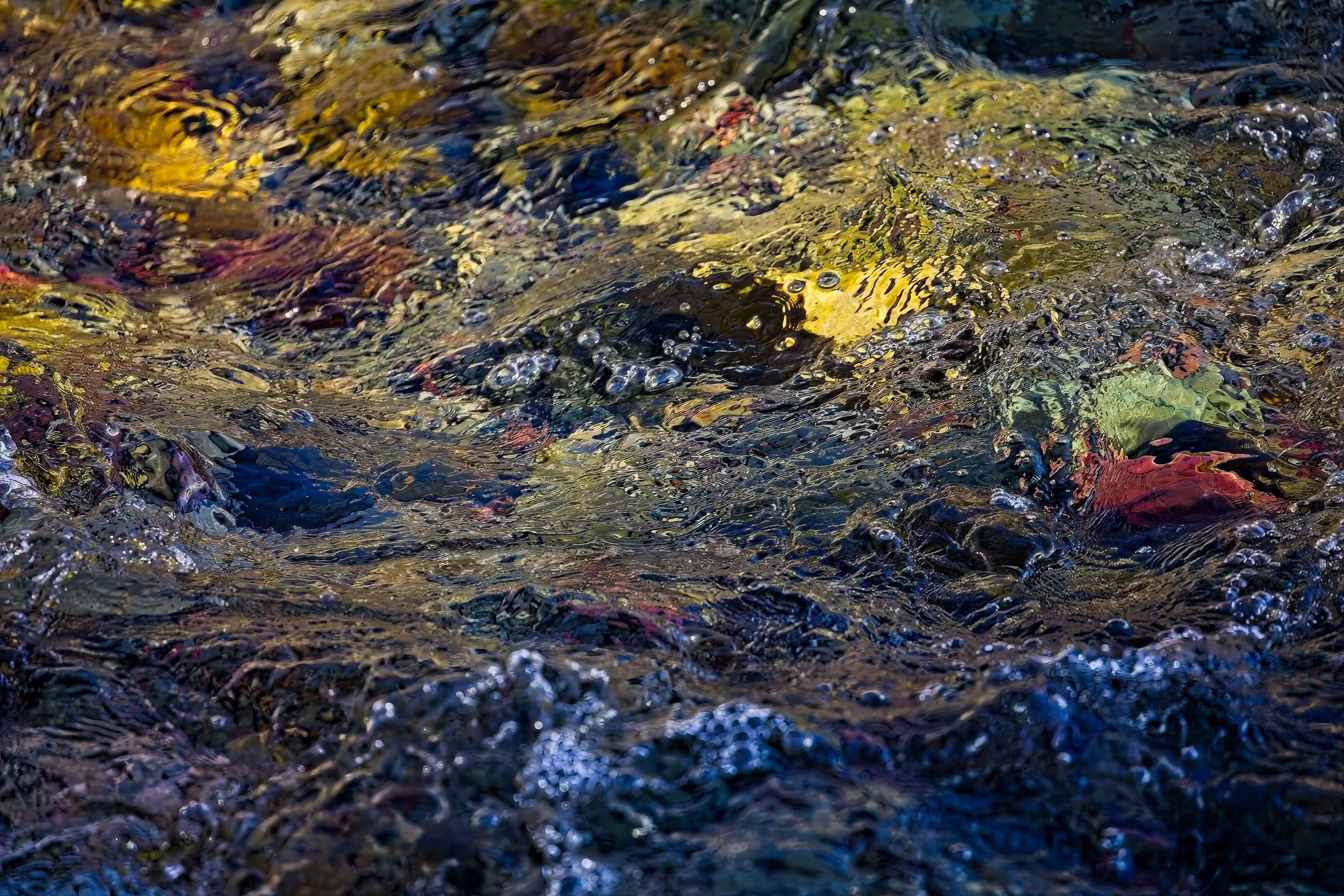 “Fall Leaves Washed Away” by Rob Harden, an abstract photograph of colourful autumn leaves beneath rippling water