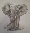 Art Classes in Auckland — The Village Art Classes