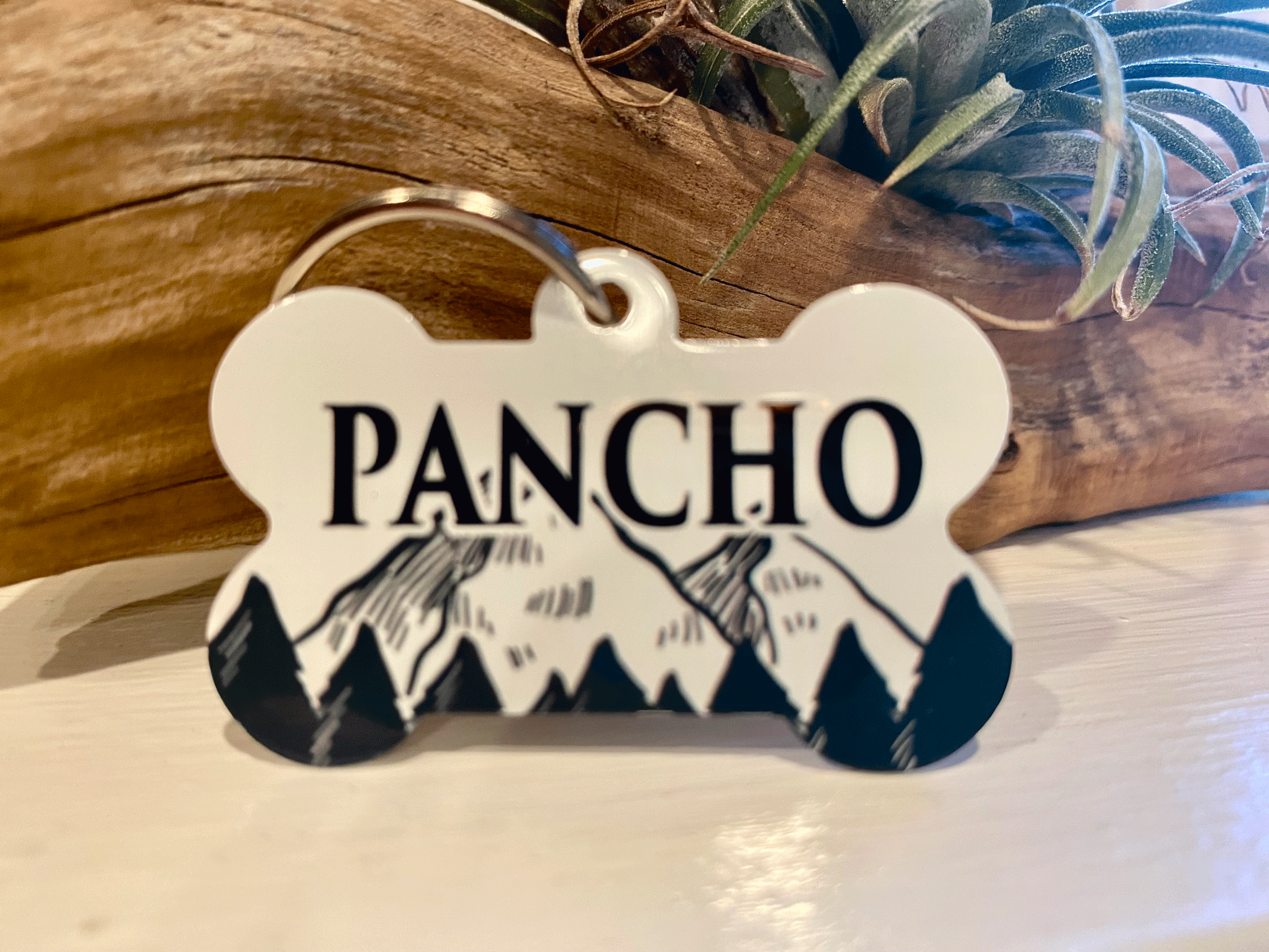 Black-&-White-Pet-Tag_Pancho_website_no-logo_PS.gif