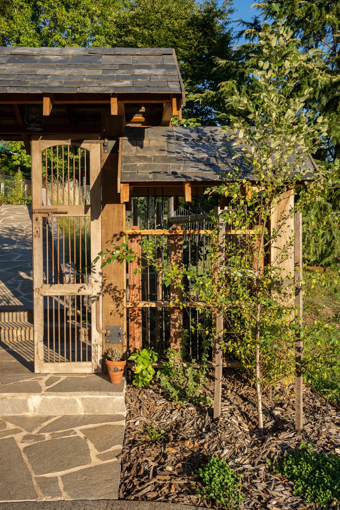Arrive Through the Garden