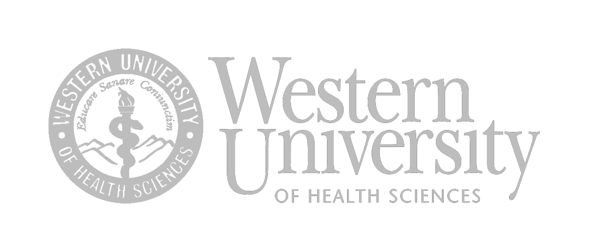 logo-1674232614865.png