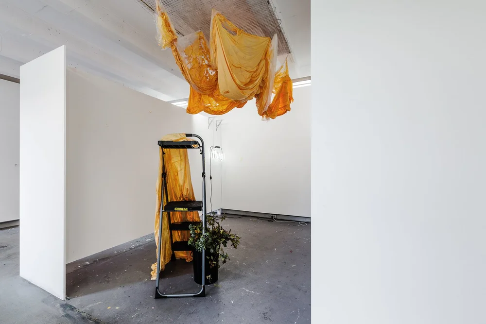 Jo M Studio-Nov 18-web-2.jpg