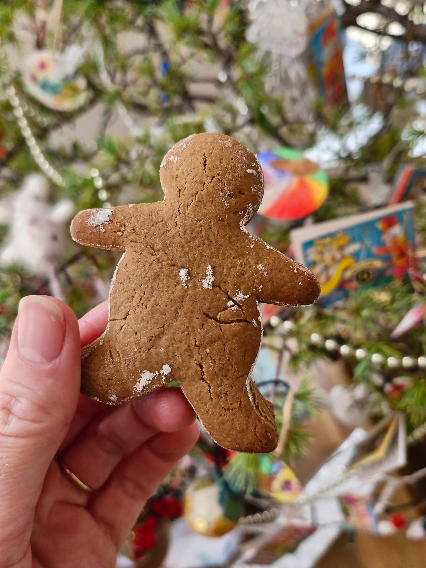 Merry happy holiday times.

So grateful to my little Island community.