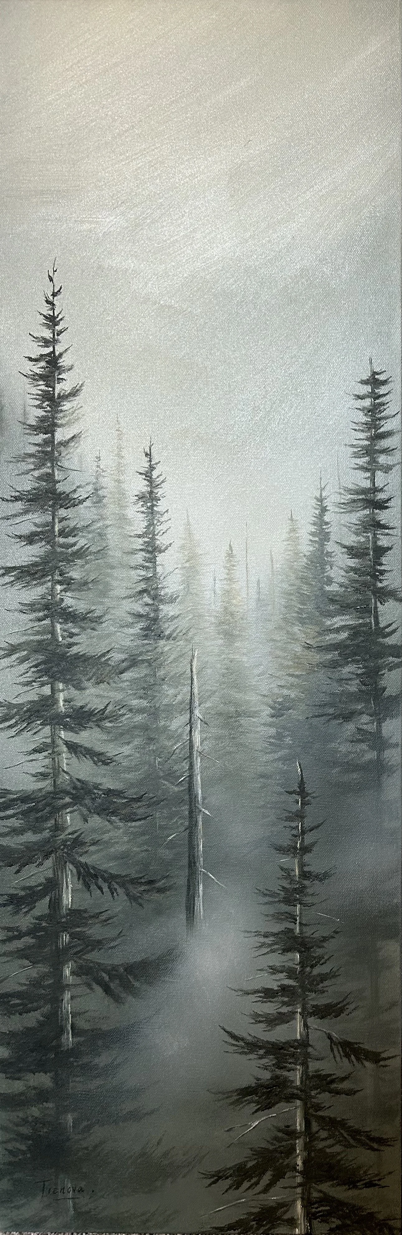 Whispers in the Mist