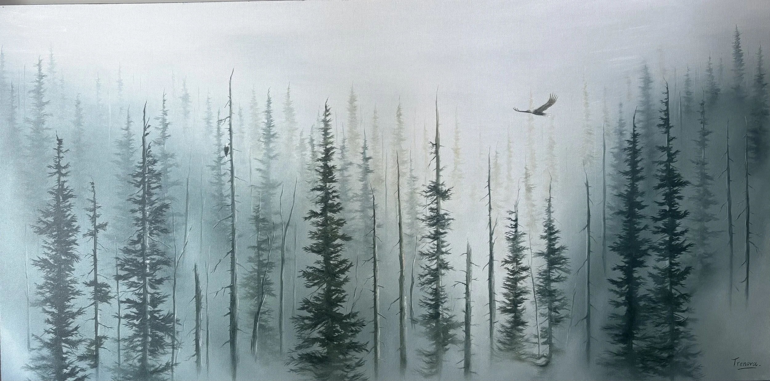 Above the Evergreens