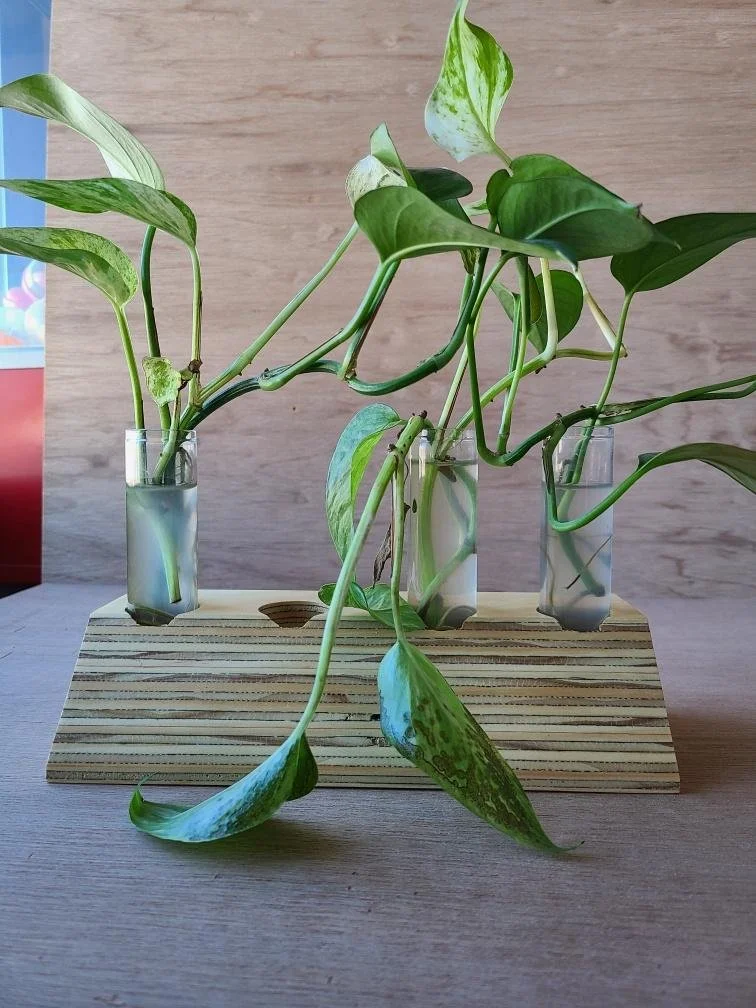 Every Piece of Wood Has a Story: Finding Beauty in the Unexpected
