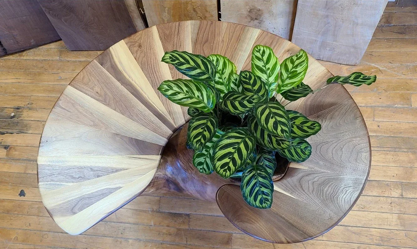 Choosing the Right Wood for a Custom Furniture Piece
