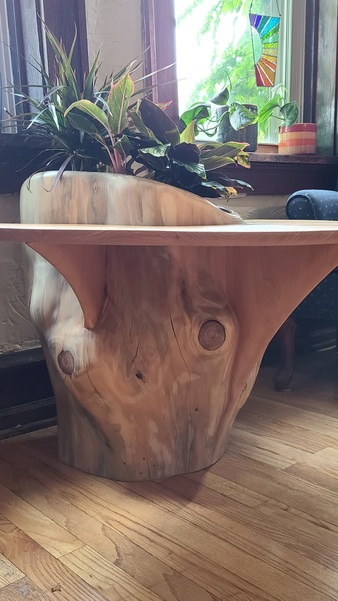 IMG_20240828_230251_422 (1).webp