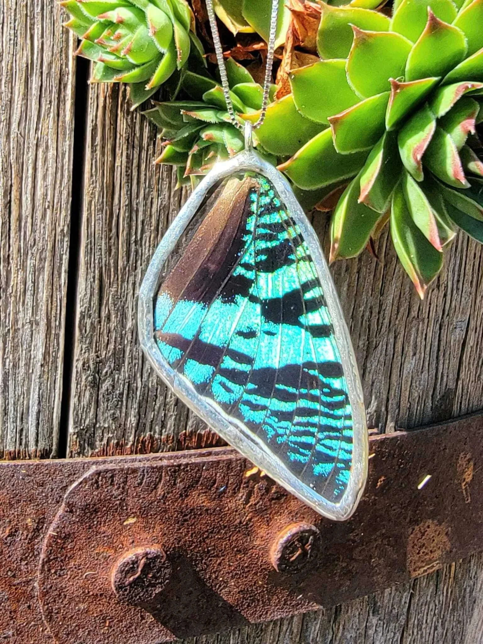 Real butterfly wing jewelry best sale
