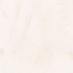 guessWho-240.gif