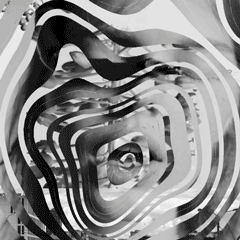 Comp_4-240.gif