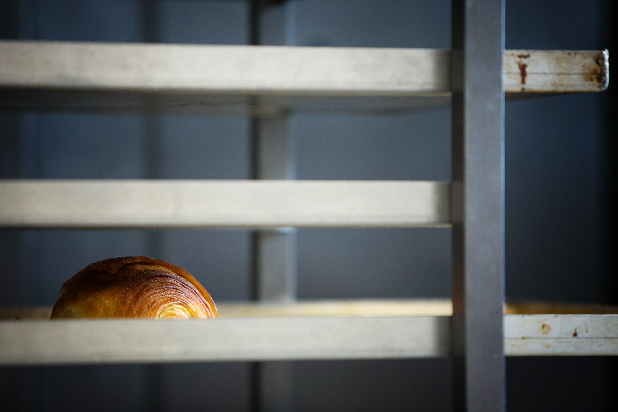 croissant on a baking tray.jpg
